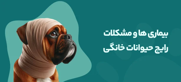 بنر1