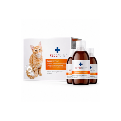 تونیک تقویت کلیه گربه ریکو اکتیو (RECOACTIV Nieren Tonicum) 90 میلی‌لیتر(یک شیشه)